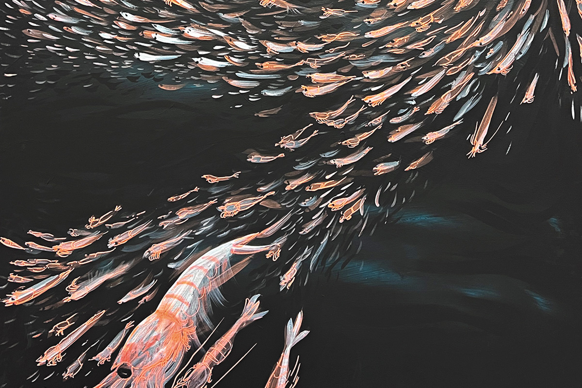 Schwarm von Krill in einem dunklen Wasserwirbel, dargestellt in einem Kunstwerk von Julia Collet